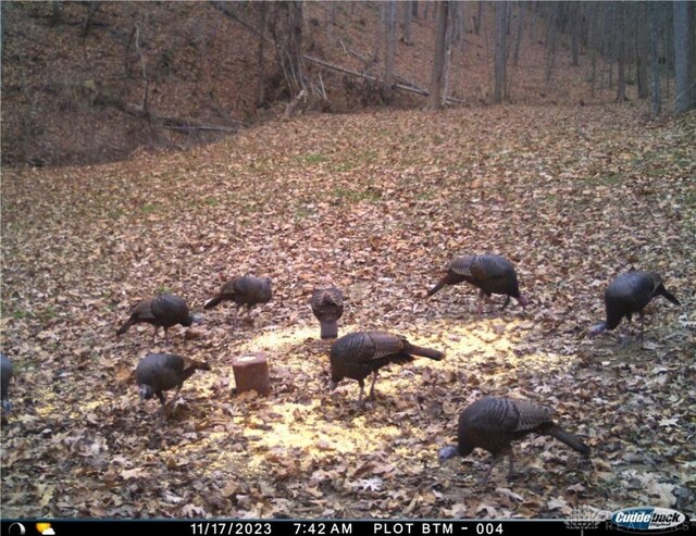 34292 State Route 41, Peebles, OH 45660 - photo 32