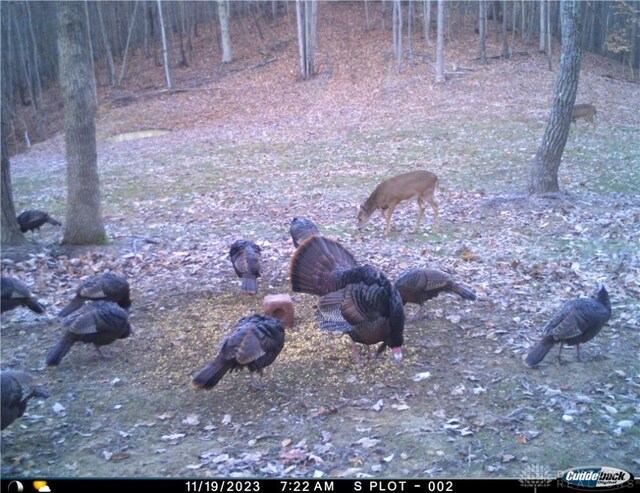 34292 State Route 41, Peebles, OH 45660 - photo 33