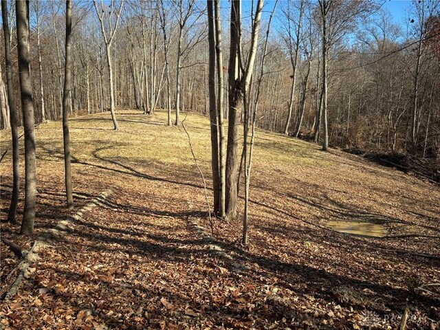 34292 State Route 41, Peebles, OH 45660 - photo 34