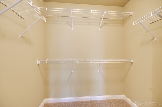 4734 Cobblestone Dr, Tipp City, OH 45371 - photo 30