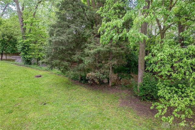 222 S Pike St, New Carlisle, OH 45344 - view of green lawn featuring a forest view