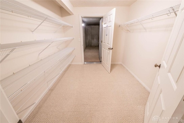 9062 Adam Ln, Waynesville, OH 45068 - walk in closet with light colored carpet