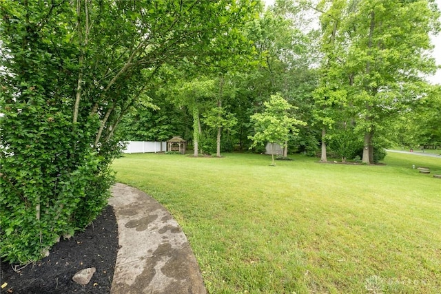 9062 Adam Ln, Waynesville, OH 45068 - view of green lawn