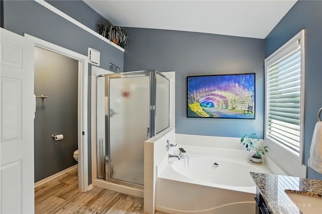 10041 Meadow Woods Ln, Washington Twp, OH 45458 - bathroom with a garden tub, a stall shower, toilet, wood finished floors, and vanity