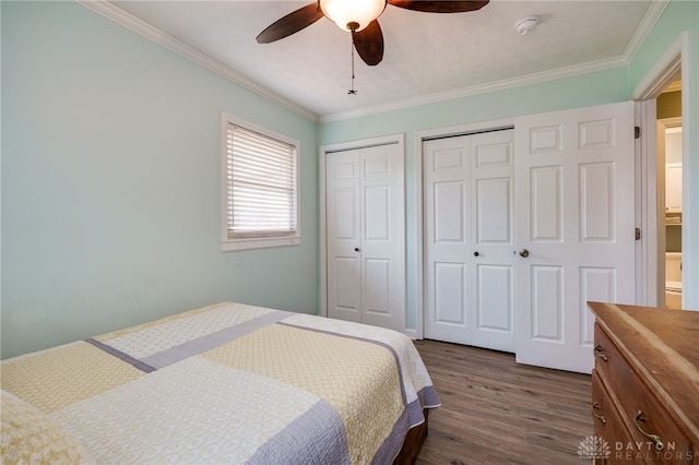 613 Spinning Rd, New Carlisle, OH 45344 - bedroom featuring multiple closets, dark wood-type flooring, ornamental molding, and ceiling fan
