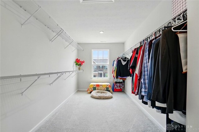 2550 Bellevue Dr, Batavia, OH 45103 - walk in closet featuring carpet floors