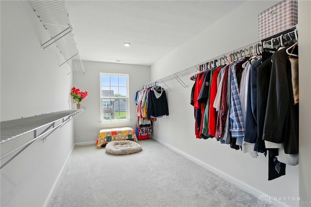 2550 Bellevue Dr, Batavia, OH 45103 - spacious closet featuring carpet flooring