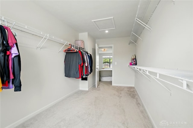 2550 Bellevue Dr, Batavia, OH 45103 - walk in closet with attic access and carpet floors