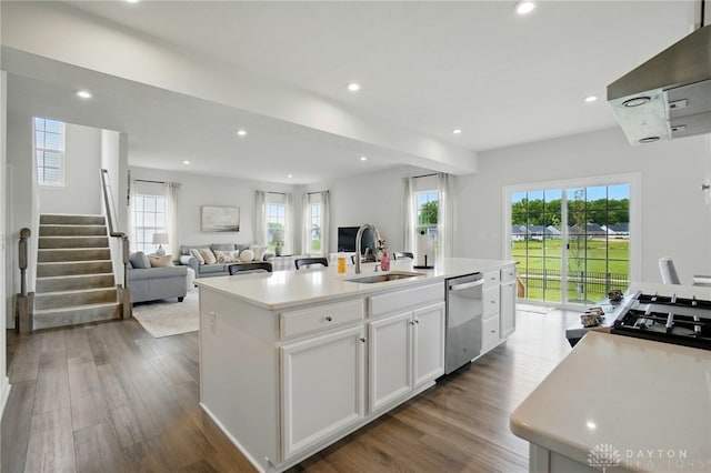 2550 Bellevue Dr, Batavia, OH 45103 - kitchen with a sink, stainless steel dishwasher, exhaust hood, wood finished floors, and recessed lighting
