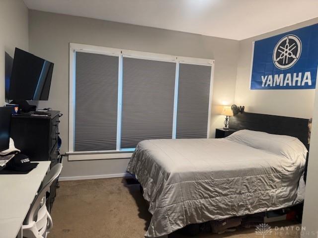 224 S Wolf Creek St, Brookville, OH 45309 - bedroom with carpet