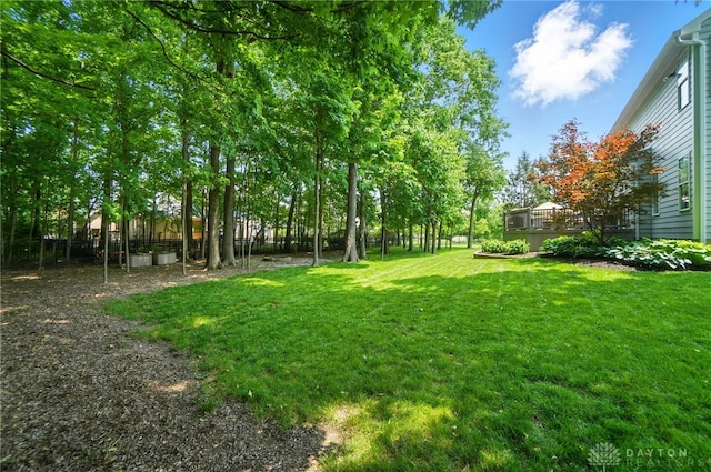 10800 Meadow Hawk Ct, Dayton, OH 45458 - photo 87