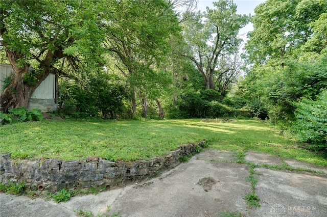 4328 Richland Ave, Dayton, OH 45432 - photo 24