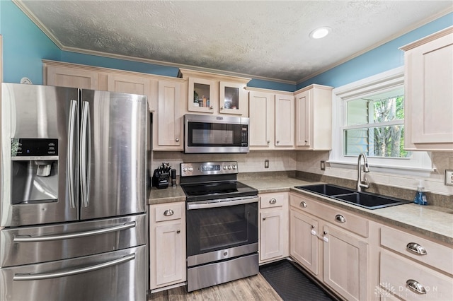 340 Marsha Jeanne Way, Dayton, OH 45458 - kitchen featuring stainless steel appliances, a sink, a textured ceiling, crown molding, and tasteful backsplash
