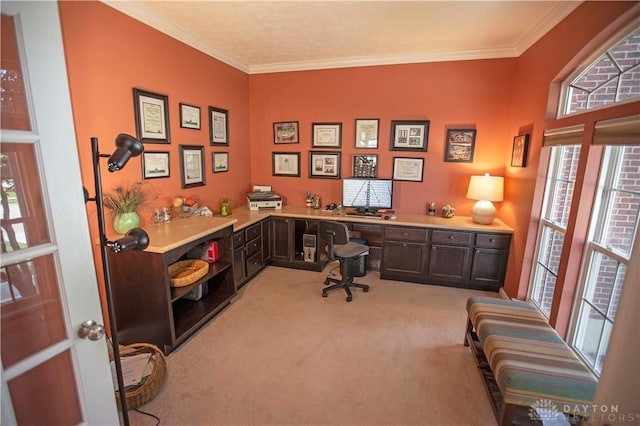 4560 James Madison Trl, Kettering, OH 45440 - home office with light carpet and ornamental molding
