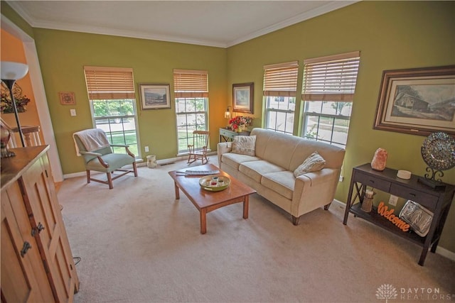 4560 James Madison Trl, Kettering, OH 45440 - living area featuring light carpet, crown molding, and baseboards