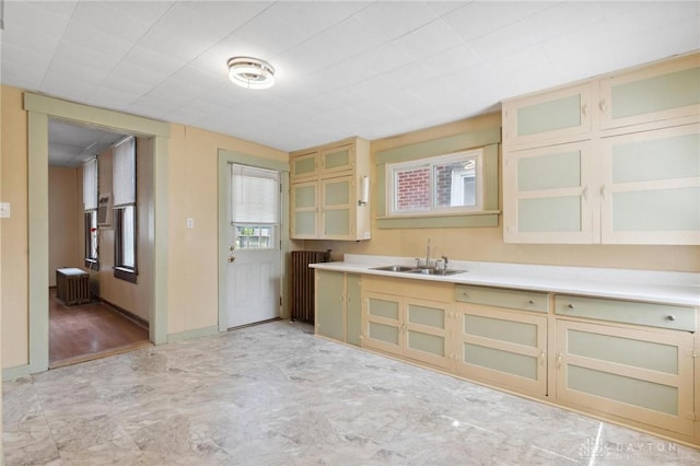 282 S W St, Xenia, OH 45385 - kitchen featuring a sink, light countertops, glass insert cabinets, and cream cabinetry