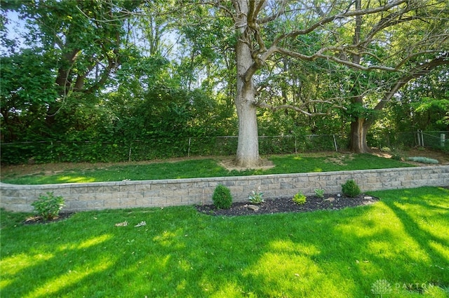 240 W Market St, Springboro, OH 45066 - view of yard