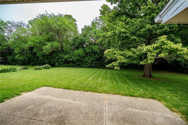 4424 Appleton Pl, Kettering, OH 45440 - view of grassy yard featuring a patio and view of wooded area