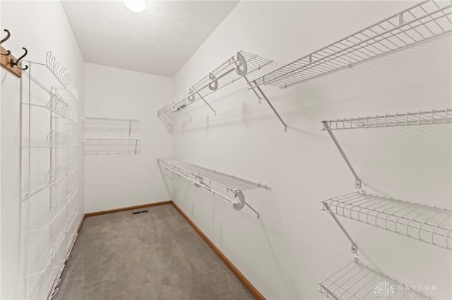 1410 Hunter Ct, Troy, OH 45373 - spacious closet with carpet