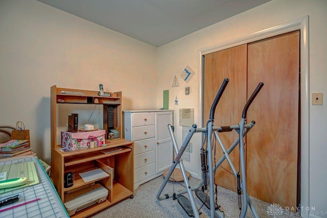 4292 Terrace Rd, College Corner, OH 45003 - workout area featuring carpet flooring