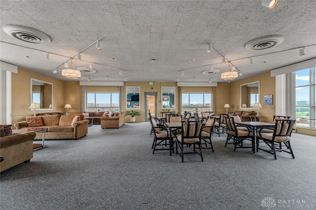 2230 S Patterson Blvd Unit 21, Dayton, OH 45409 - dining space with rail lighting and carpet floors