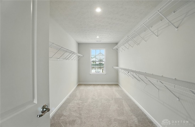 344 Warm Springs Dr, Fairborn, OH 45324 - spacious closet with carpet flooring