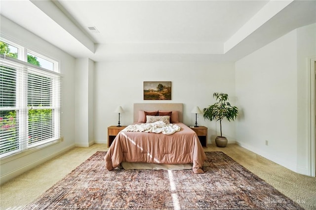 160 Harbour Dr, Springboro, OH 45066 - bedroom with a tray ceiling, carpet, and baseboards