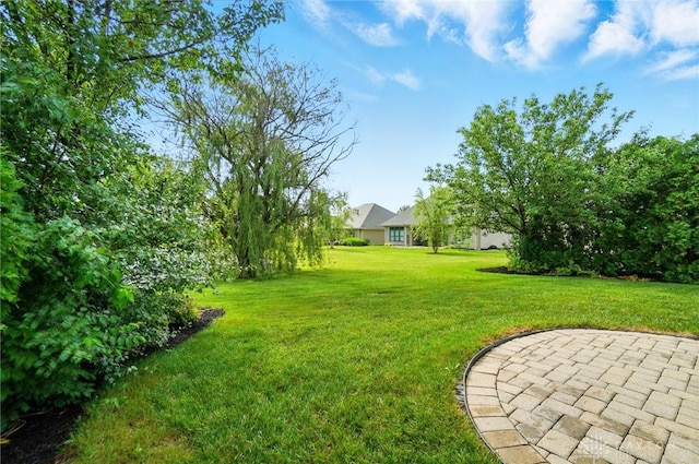 160 Harbour Dr, Springboro, OH 45066 - view of green lawn