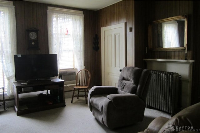 1600 Wayne Ave, Dayton, OH 45410 - carpeted living room with wooden walls