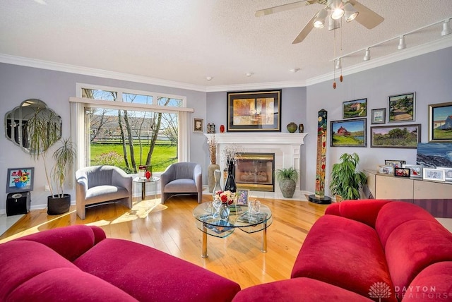 1668 Nichole Ct, Hamilton, OH 45013 - living area featuring track lighting, wood finished floors, a ceiling fan, crown molding, and a premium fireplace
