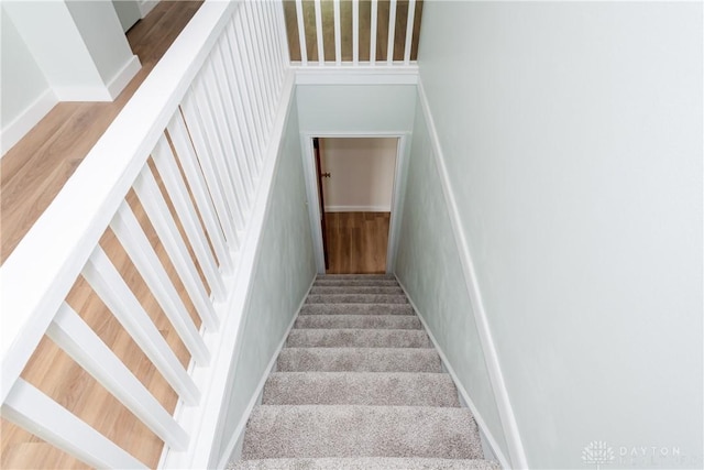 1208 Hale Ave, Dayton, OH 45419 - stairs featuring carpet floors