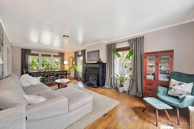 435 Marcia Ave, Hamilton, OH 45013 - living room with healthy amount of natural light, crown molding, light wood finished floors, and a fireplace with flush hearth