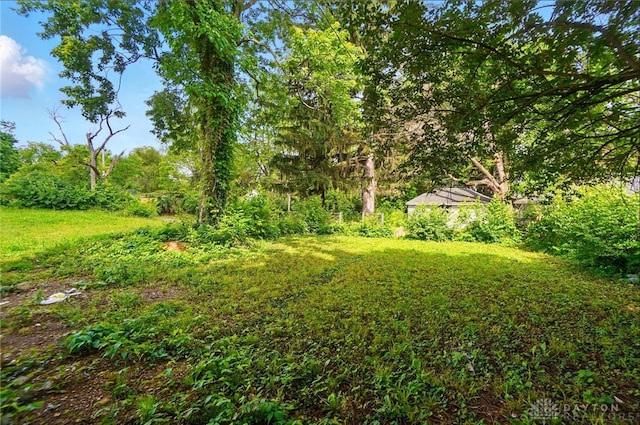 123 Delaware Ave, Dayton, OH 45405 - view of yard
