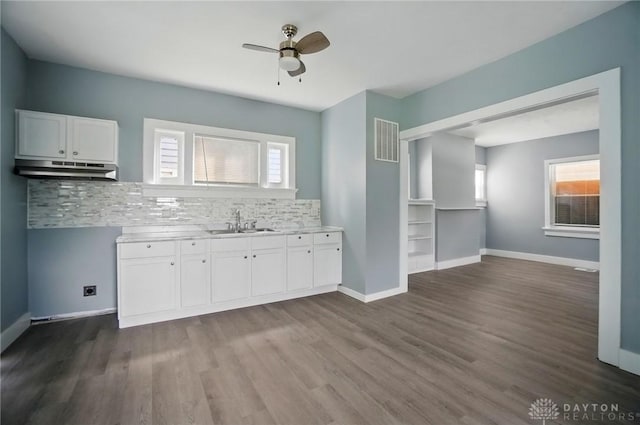 123 Delaware Ave, Dayton, OH 45405 - kitchen featuring tasteful backsplash, white cabinetry, healthy amount of natural light, and ceiling fan