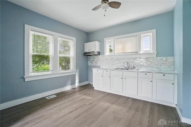 123 Delaware Ave, Dayton, OH 45405 - kitchen featuring under cabinet range hood, ceiling fan, tasteful backsplash, and light countertops