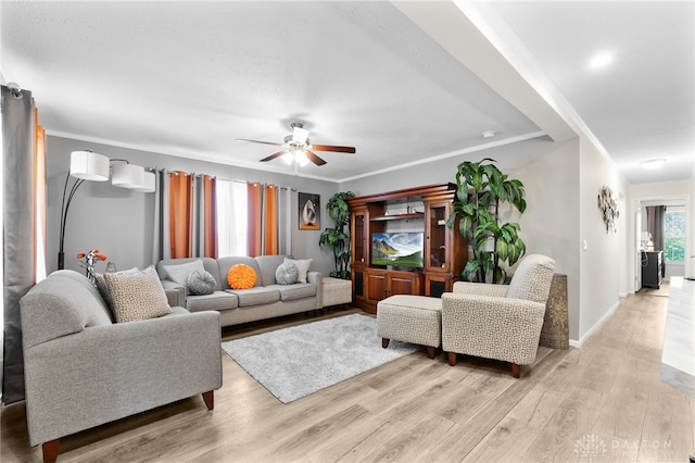 441 Kalynn Cir Unit 26, Fairborn, OH 45324 - living area with ceiling fan, light wood-type flooring, and ornamental molding