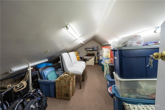 446 Lookout Rdg, Oakwood, OH 45419 - additional living space featuring lofted ceiling and carpet