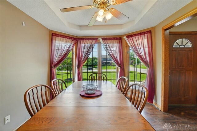 5193 Horseshoe Dr, Lewisburg, OH 45338 - dining room with a tray ceiling, ceiling fan, a textured ceiling, and dark wood finished floors