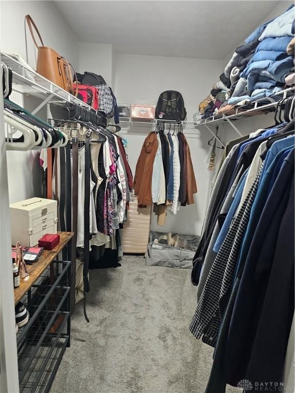 1147 Spegele Ct, Xenia, OH 45385 - walk in closet featuring carpet floors
