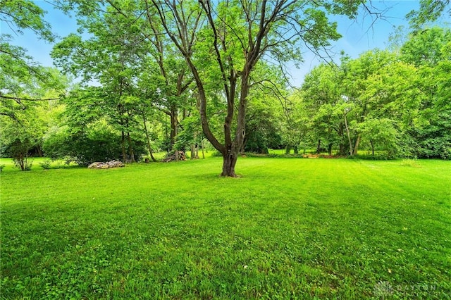 646 Barnhart Rd, Troy, OH 45373 - view of grassy yard
