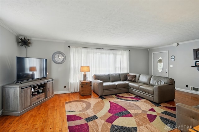 646 Barnhart Rd, Troy, OH 45373 - living room featuring ornamental molding, a textured ceiling, light wood-type flooring, and baseboards