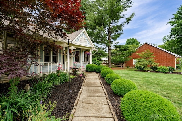 201 S Waynesville Rd, Oregonia, OH 45054 - photo 4