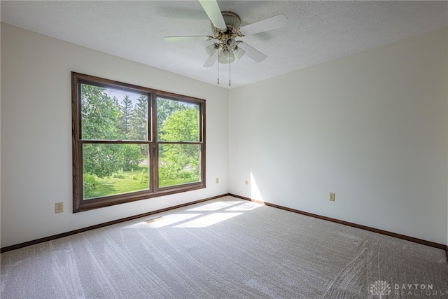 6631 Cedar Crest Trl, Washington Twp, OH 45459 - photo 28