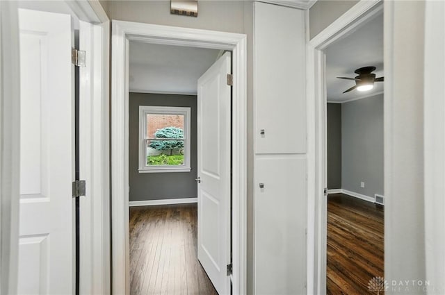 1725 Humphrey Ave, Dayton, OH 45410 - hallway with dark wood-type flooring and crown molding