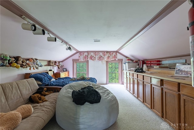 3149 W State Route 73, Wilmington, OH 45177 - bedroom featuring lofted ceiling, light colored carpet, and track lighting
