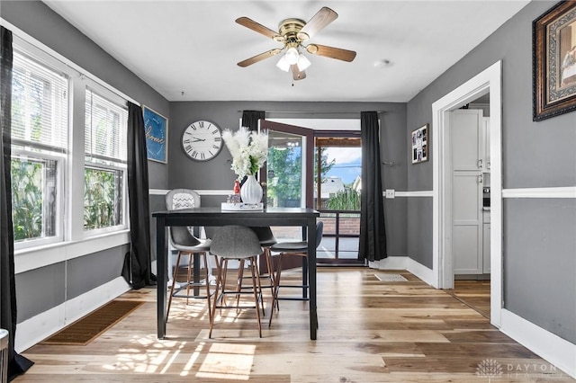 1707 Maiden Ln, Springfield, OH 45504 - dining area featuring wood finished floors and a ceiling fan