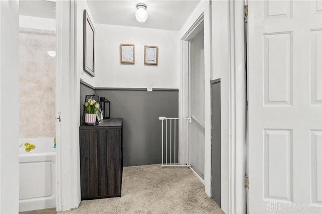 1707 Maiden Ln, Springfield, OH 45504 - hall with carpet floors