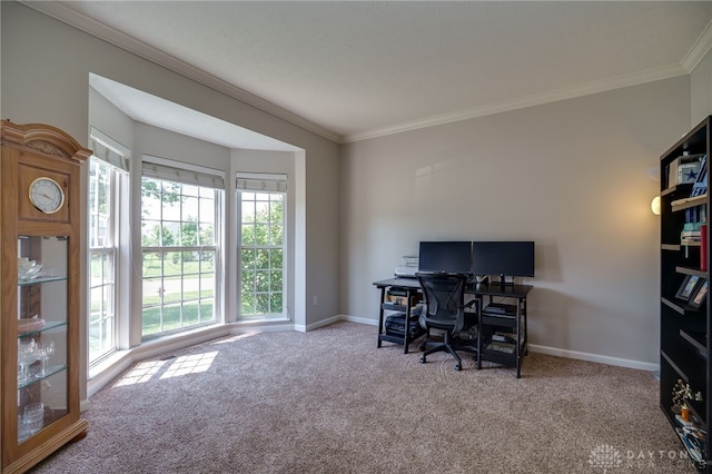 3334 Greycliff Trl, Franklin Twp, OH 45005 - office with ornamental molding, plenty of natural light, and carpet flooring