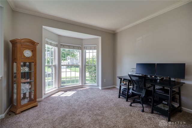 3334 Greycliff Trl, Franklin Twp, OH 45005 - carpeted office with baseboards and ornamental molding