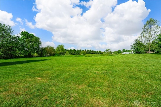 1737 Wilmington Rd, Cedarville Twp, OH 45314 - view of grassy yard